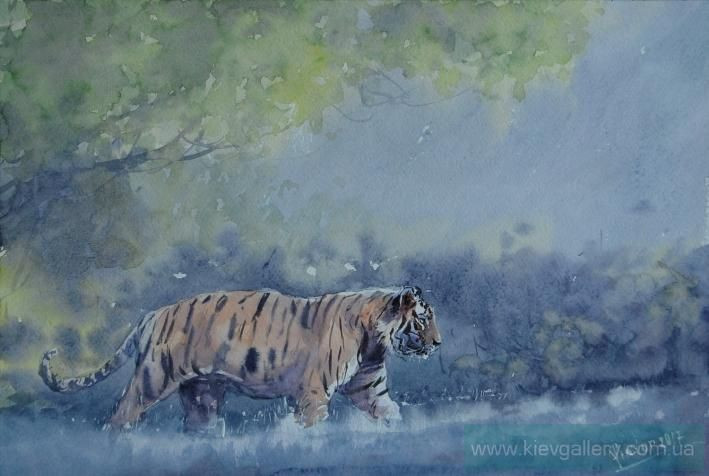 Painting «Tiger», watercolor, paper. Painter Mykytenko Viktor. Buy painting