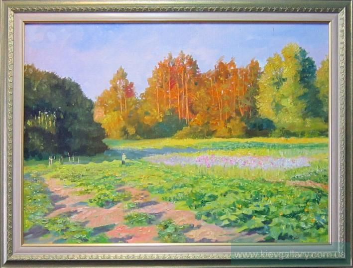 Painting «June gold», oil, canvas. Painter Tytulenko Volodymyr. Buy painting