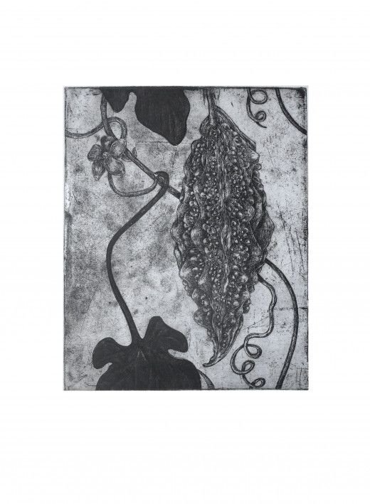 Картина «Момордіка 1», офорт, папір. Художниця Маслова Маріанна. Купити картину