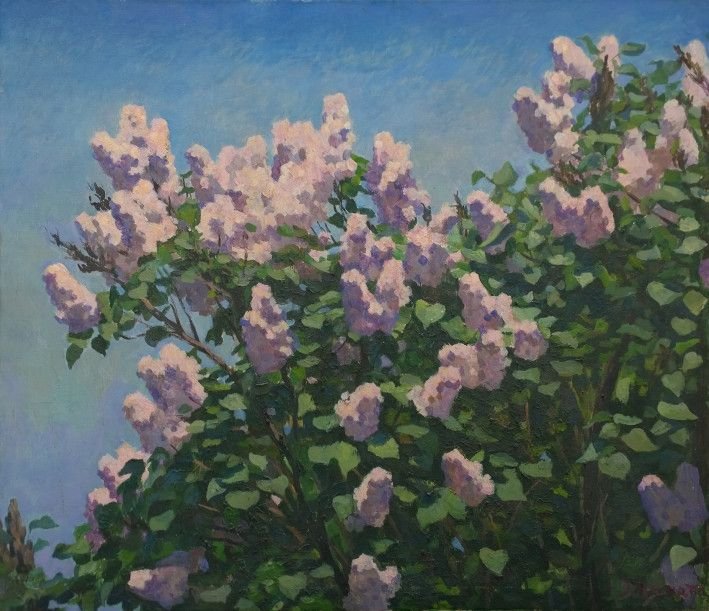 Painting «Flowering lilac», oil, canvas. Painter Chamata Ihor. Buy painting