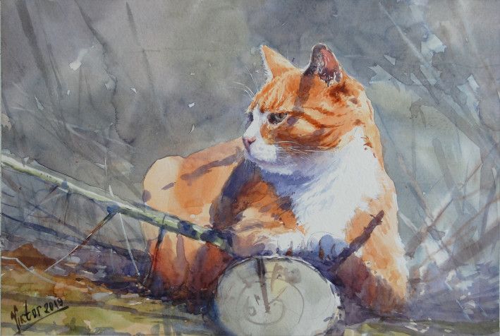 Painting «Resting cat», watercolor, paper. Painter Mykytenko Viktor. Buy painting