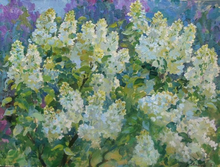 Painting «White lilac», oil, canvas. Painter Lytovchenko Borys. Buy painting