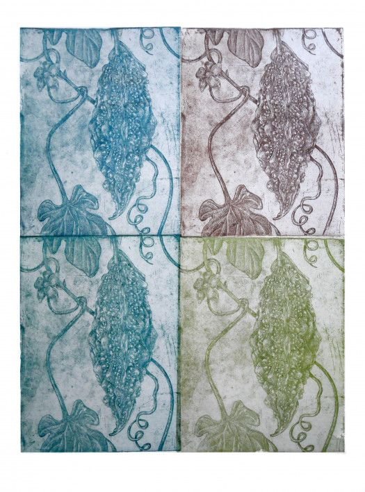 Картина «Момордика 4», офорт, бумага. Художница Маслова Марианна. Купить картину