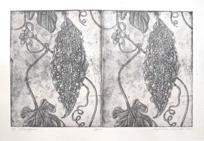 Картина «Момордика», офорт, бумага. Художница Маслова Марианна. Купить картину