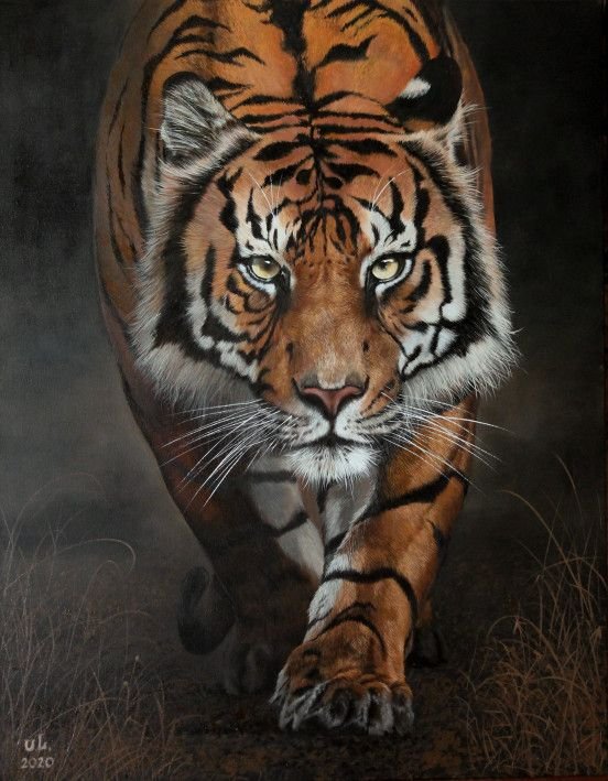 Картина “Бенгальский тигр”