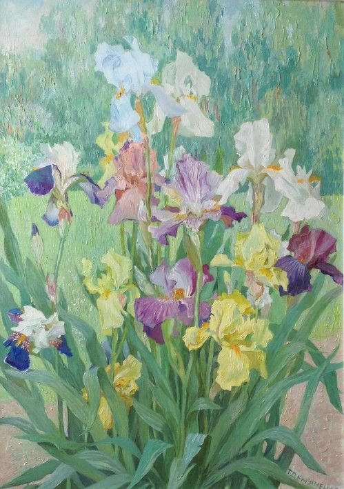 Painting «Irises», oil, canvas. Painter Demianenko Tetiana. Buy painting