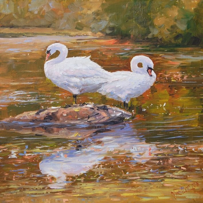 Painting «Pair of swans», oil, canvas. Painter Mykytenko Viktor. Buy painting
