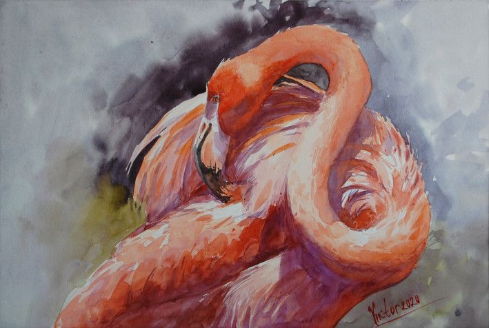 Картина «Фламинго», акварель, бумага. Художник Микитенко Виктор. Купить картину