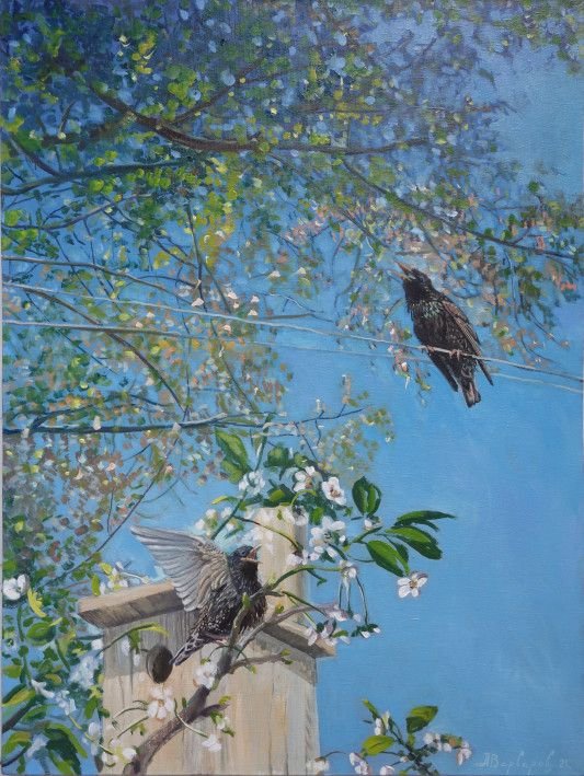Painting «Starling», oil, canvas. Painter Varvarov Anatolii. Buy painting