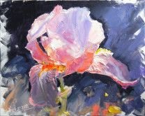 Картина “Квітка рожевого ірису”