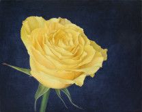 Картина “Желтая роза”