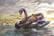 Картина “Черный лебедь ”