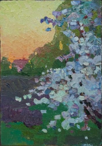 Painting «cherry blossoms», oil, canvas. Painter Havryliuk Varvara. Sold