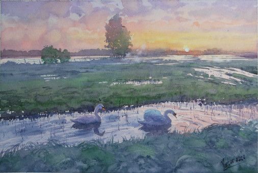 Painting «Swans in the evening sunshine», watercolor, paper. Painter Mykytenko Viktor. Buy painting