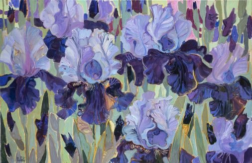 Painting « Irises», oil, canvas. Painter Korzh-Radko Liudmyla. Buy painting