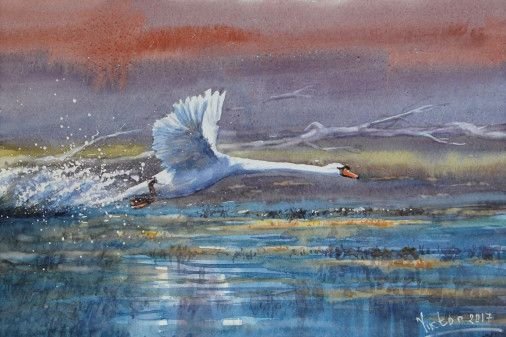 Painting «The swan is flying», watercolor, paper. Painter Mykytenko Viktor. Buy painting