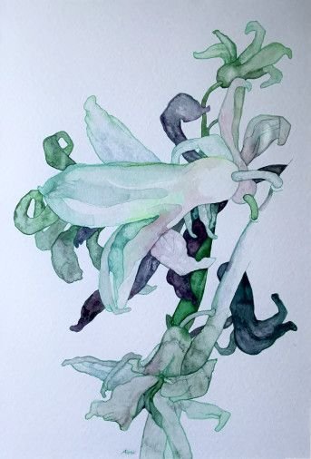 Painting «Hyacinth », watercolor, paper. Painter Bulkina Anna. Buy painting
