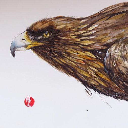 Painting «Eagle», watercolor, ink, paper. Painter Samsonova Tetiana. Sold