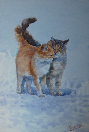 Painting «Couple of cats», watercolor, paper. Painter Mykytenko Viktor. Buy painting