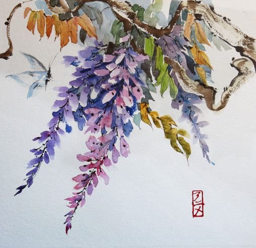Painting «Blooming wisteria», watercolor, ink, paper. Painter Samsonova Tetiana. Sold