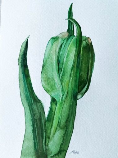 Painting «Tulip», watercolor, paper. Painter Bulkina Anna. Buy painting