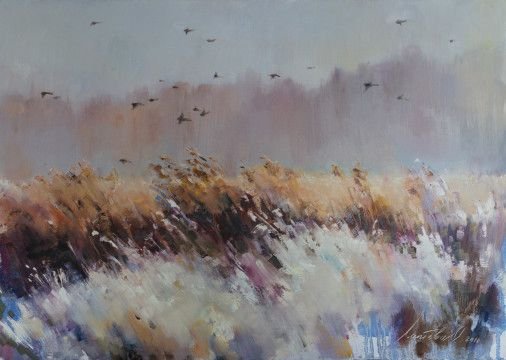 Painting «Birds over the field», oil, canvas. Painter Laptieva Olha. Buy painting