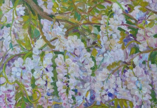 Painting «Wisteria branch», oil, canvas on fibreboard. Painter Kyrylenko-Barannikova Halyna. Buy painting