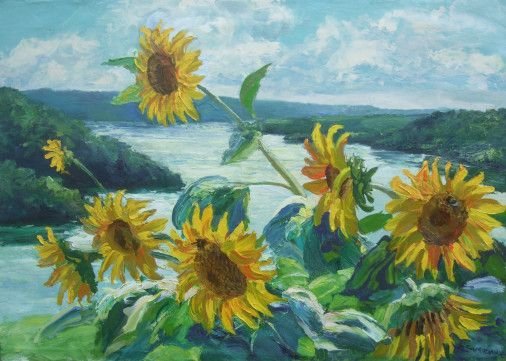 Painting «Sunflowers on the background of the Dniester river», oil, canvas. Painter Samoilyk Olena. Buy painting