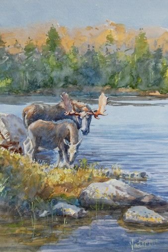 Painting «Moose», watercolor, paper. Painter Mykytenko Viktor. Buy painting