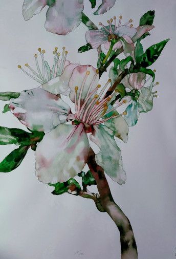 Картина «Весняні Квіти», акварель, папір. Художниця Булкіна Анна. Купити картину