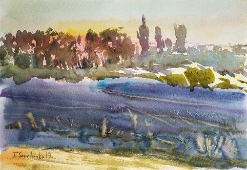 Painting «Morning on the field», watercolor, paper. Painter Senchenko Tetiana. Buy painting