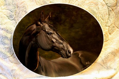 Painting «horse portrait», oil, canvas. Painter Lychahina Yuliia. Sold