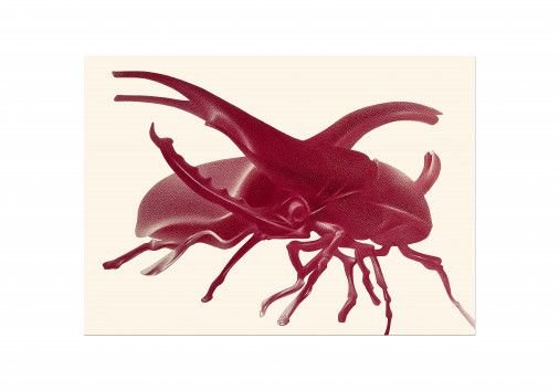 Картина «Insect 6», карандаш, бумага. Художница Чередниченко Вероника. Продана