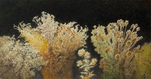 Painting «Herbs», oil, canvas. Painter Pavlenko Oleksandr. Buy painting