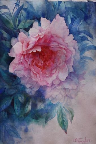 Painting «Pink peony», watercolor, paper. Painter Dobrodii Hanna. Buy painting