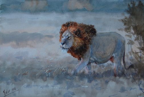 Painting «Lion. Savannah», watercolor, paper. Painter Mykytenko Viktor. Buy painting