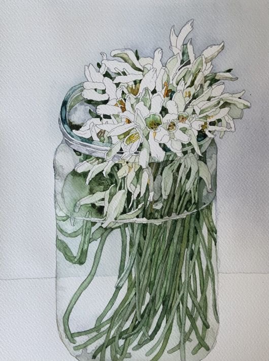 Картина «Білі квіти», акварель, папір. Художниця Булкіна Анна. Купити картину