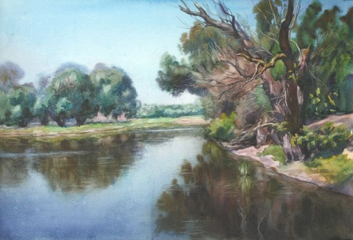 Painting «Danube  willows», watercolor, paper. Painter Korinok Viktor. Buy painting