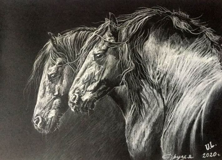 Painting «Friends», pencil, paper. Painter Lychahina Yuliia. Buy painting