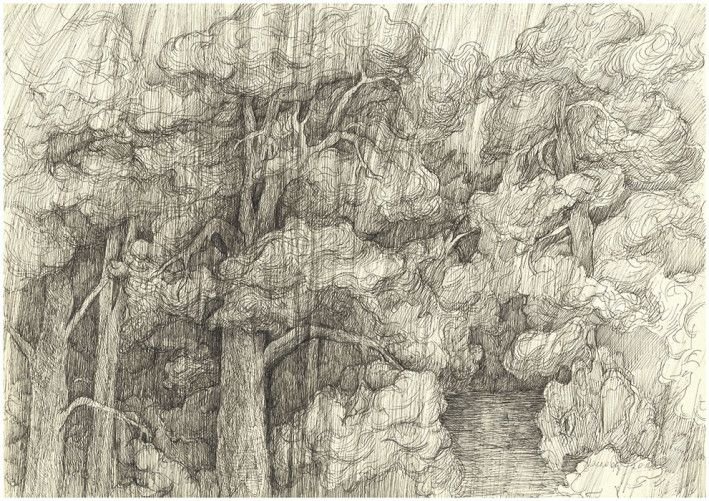 Картина «Королевство сосновое: Дождь», тушь, бумага. Художница Маслова Марианна. Купить картину