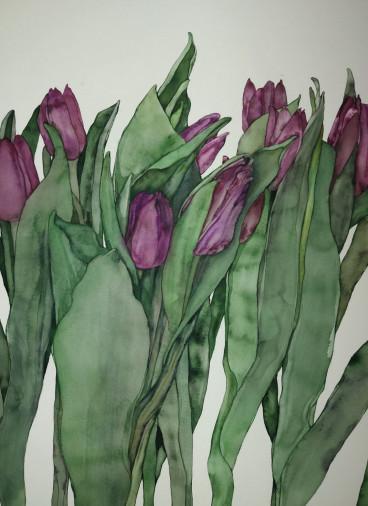 Картина «Садові тюльпани», акварель, папір. Художниця Булкіна Анна. Купити картину