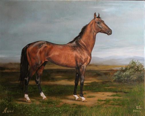 Painting «Akhal-Teke stallion», oil, canvas. Painter Lychahina Yuliia. Buy painting