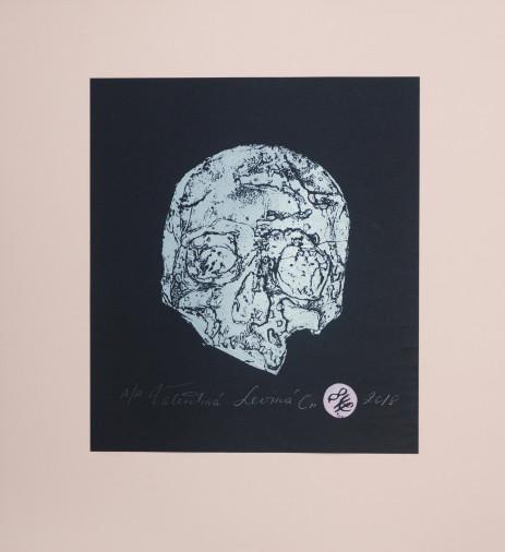 Painting «Skull II», etching, paper. Painter Levina Valentyna. Buy painting