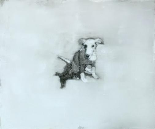 Painting «one white dog», oil, canvas. Painter Bulkina Anna. Buy painting