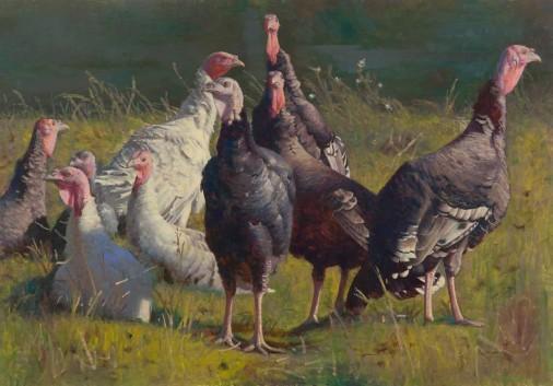 Painting «Turkeys», oil, canvas. Painter Hiedzievich Stanislav. Buy painting