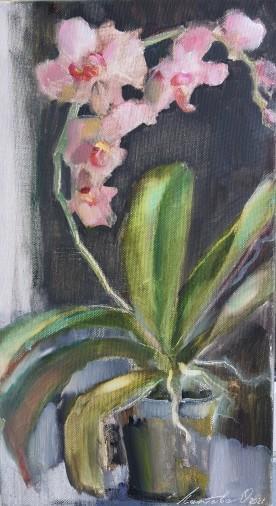 Картина «Орхидея», масло, холст. Художница Лаптева Ольга. Купить картину