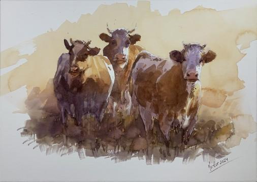 Painting «Cows», watercolor, paper. Painter Mykytenko Viktor. Buy painting