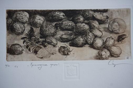 Painting «Last year's nuts», etching, paper. Painter Starchenko Vyacheslav. Buy painting